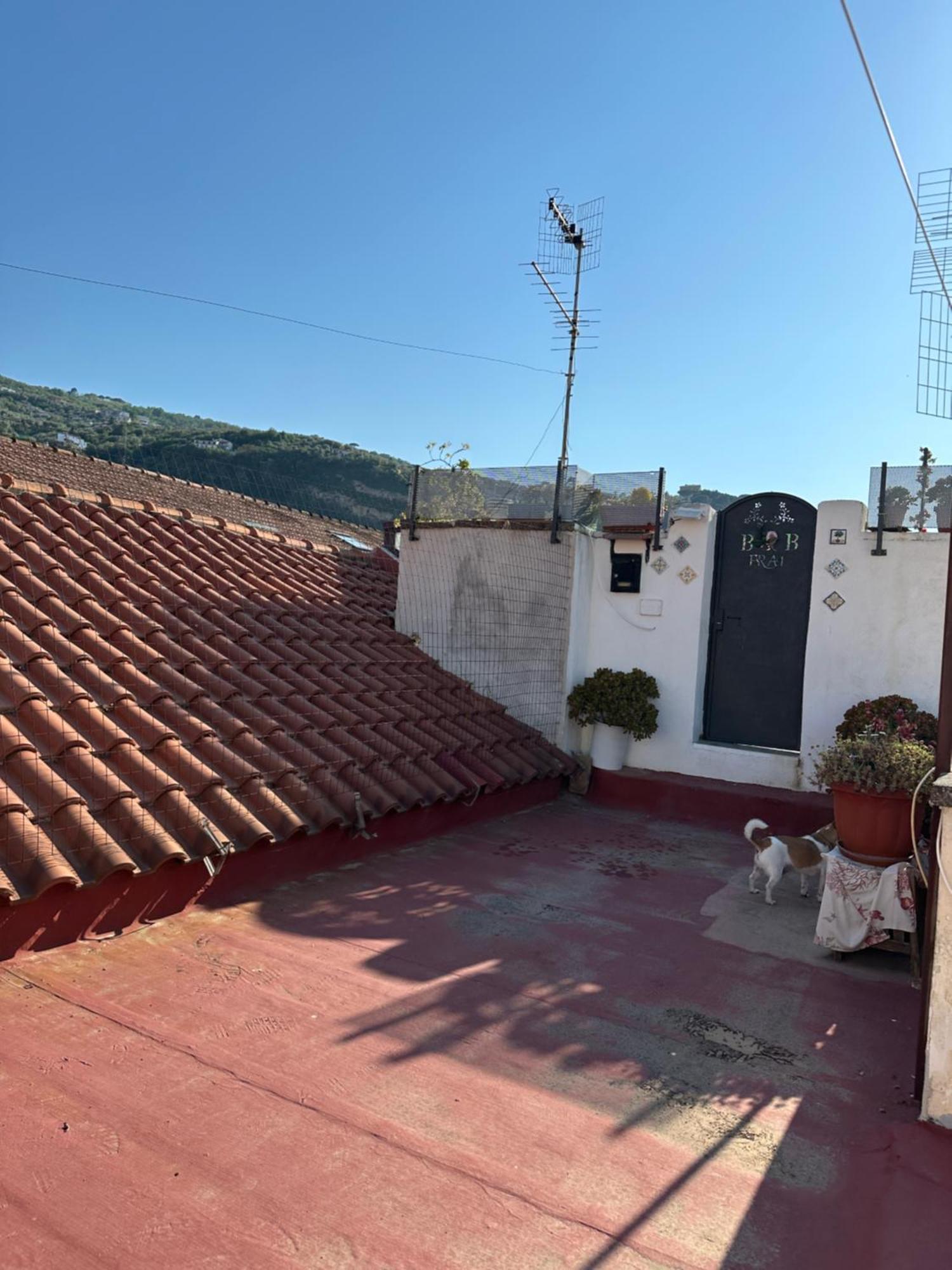 B&B Frai Σορέντο Εξωτερικό φωτογραφία